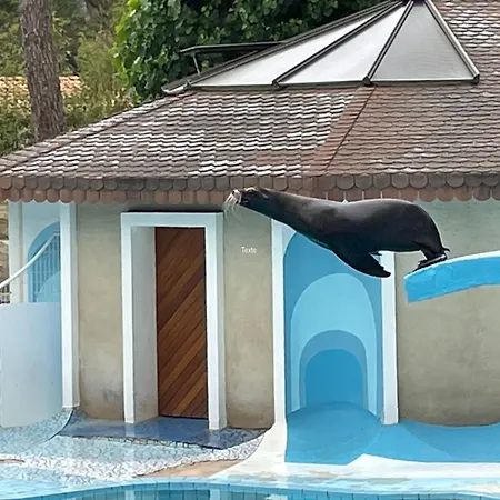 Magnifique Mobilhome 45m2 - Cc266 - Les Charmettes *