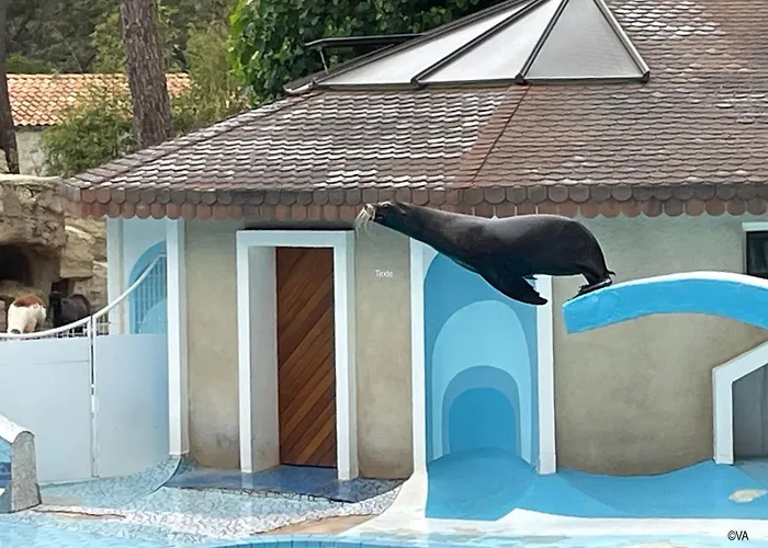 Magnifique Mobilhome 45m2 - Cc266 - Les Charmettes *